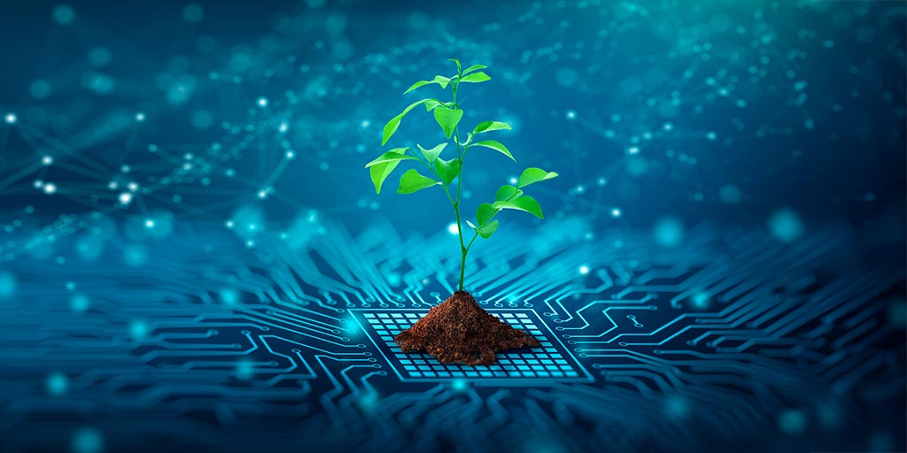 Pflanze wächst aus digitaler Struktur – Symbol für nachhaltige Glasfaser und das FTTH-Netz von Siggenthal4net in Untersiggenthal und Obersiggenthal